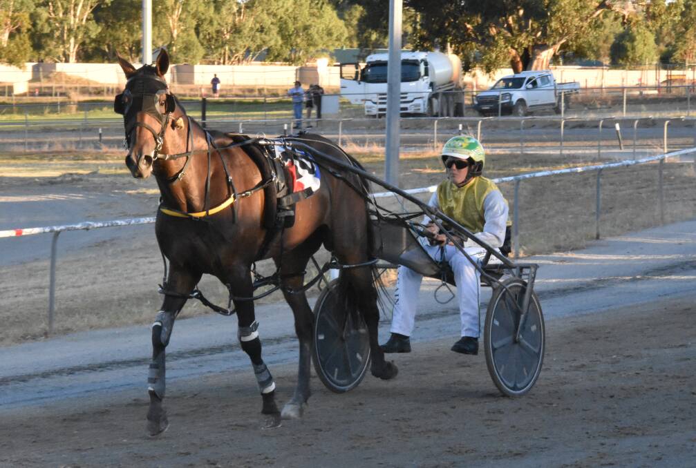 TOP JOB: Blake Micallef drove Kanena Provlima a treat in Monday night's Junee Pacing Cup. Photo: COURTNEY REES
