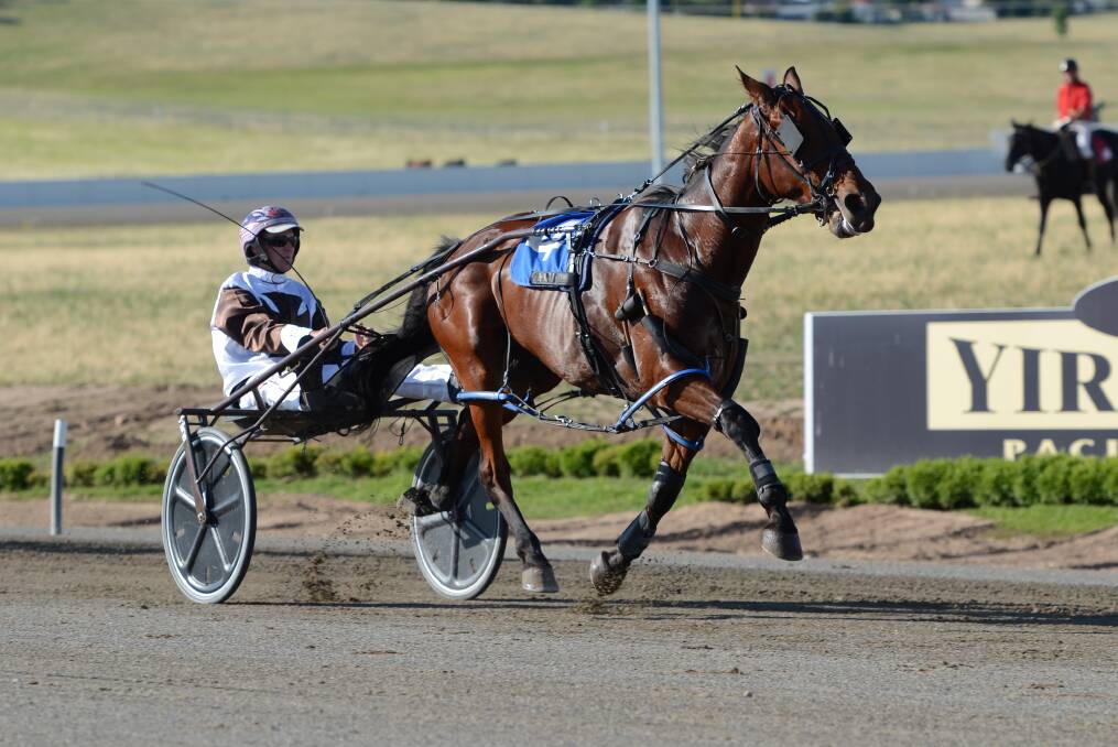 NICE WIN: Mat Rue guides Karloo Jonno to a convincing victory at the Bathurst Paceway on Wednesday. It was the third career win for the Barry Lew trained gelding. Photo: ANYA WHITELAW