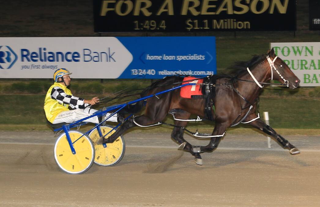 GOOD RESULT: Anthony Frisby drove Mistery Road to victory in Friday night's Rod Fitzpatrick Tatlow Stakes for Bathurst trainer John Boserio. Photo: COFFEE PHOTOGRAPHY AND FRAMING