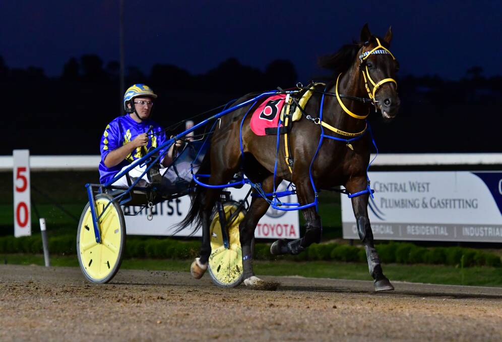 STABLE STAR: After 121 starts and 24 wins, Team Frisby's champions Our Uncle Sam has been retired. Photo: ANYA WHITELAW