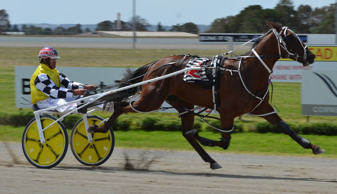 CHEERS: Bernie Hewitt drives the John Boserio trained The Grogfather to his maiden win on Monday. The gelding will contest this year's Bathurst Gold Crown series. Photo: ANYA WHITELAW