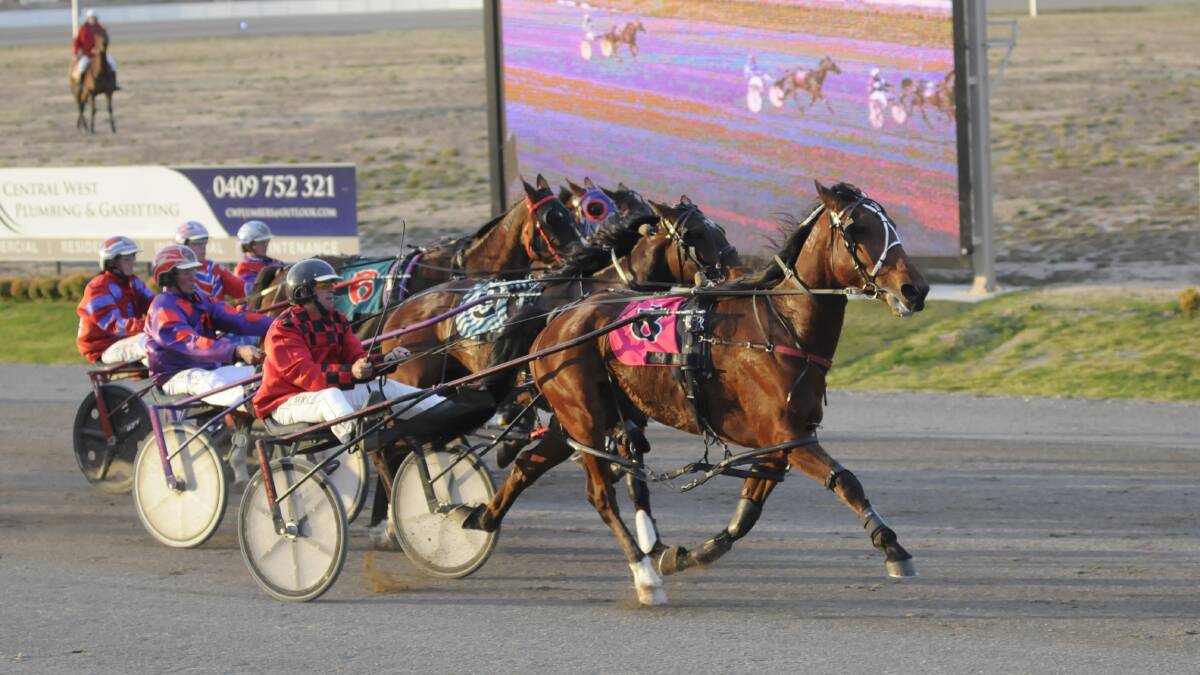 SHOOTING STAR: Nathan Hurst guides the Steve Jones trained Panther Star to victory on Wednesday. Photo: CHRIS SEABROOK 091317ctrots1