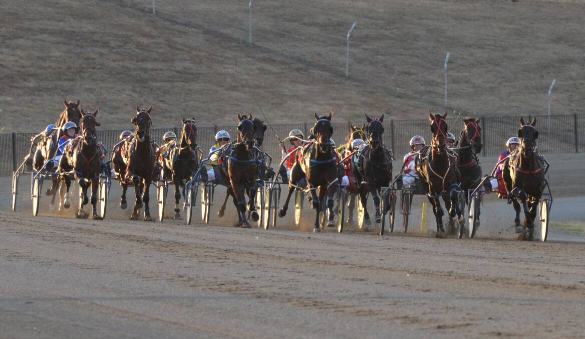 Anthony Frisby drove Rave On Rabbits to victory at the Bathurst Paceway on Wednesday night. 