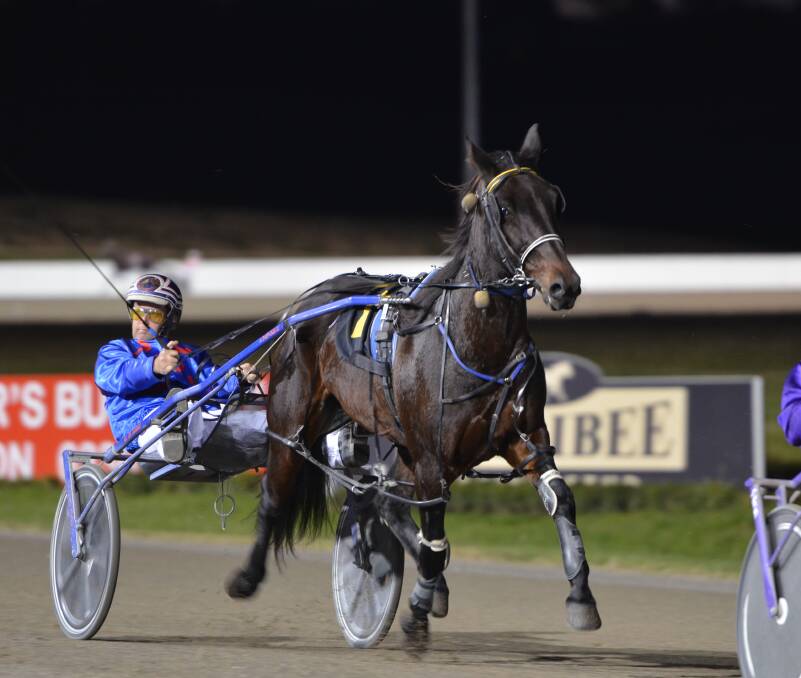 BUSTLING ALONG: Jason Turnbull made it 400 career wins when he drove Bustling Barney to victory on Wednesday night. Photo: ANYA WHITELAW