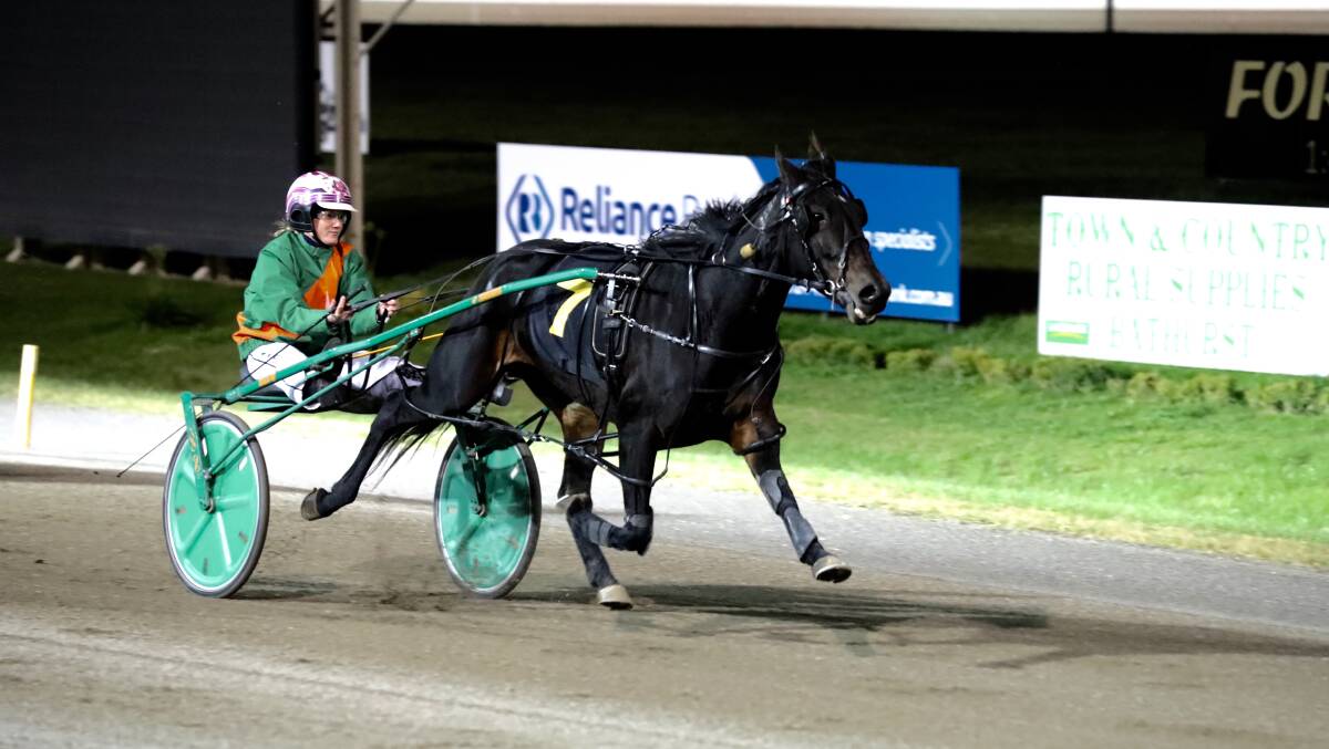 SUPERB DRIVE: Amy Rees steered the Peter Trevor-Jones trained Matamua to victory at the Bathurst Paceway on Saturday night. Photos: PHIL BLATCH