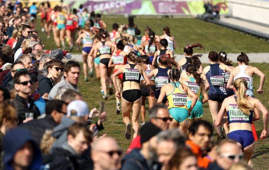 Mount Panorama's World Athletics Cross Country Championships pushed