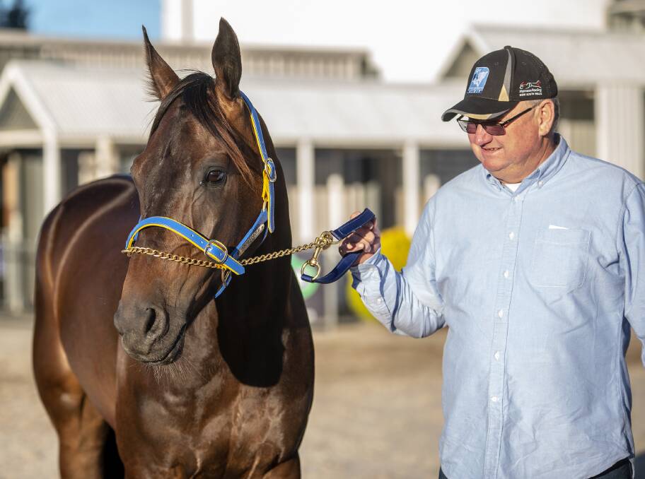 HOPEFUL: Chris Frisby is crossing his fingers that Our Uncle Sam will handle the New Zealand Trotting Cup's standing start. Photo: ASHLEA BRENNAN