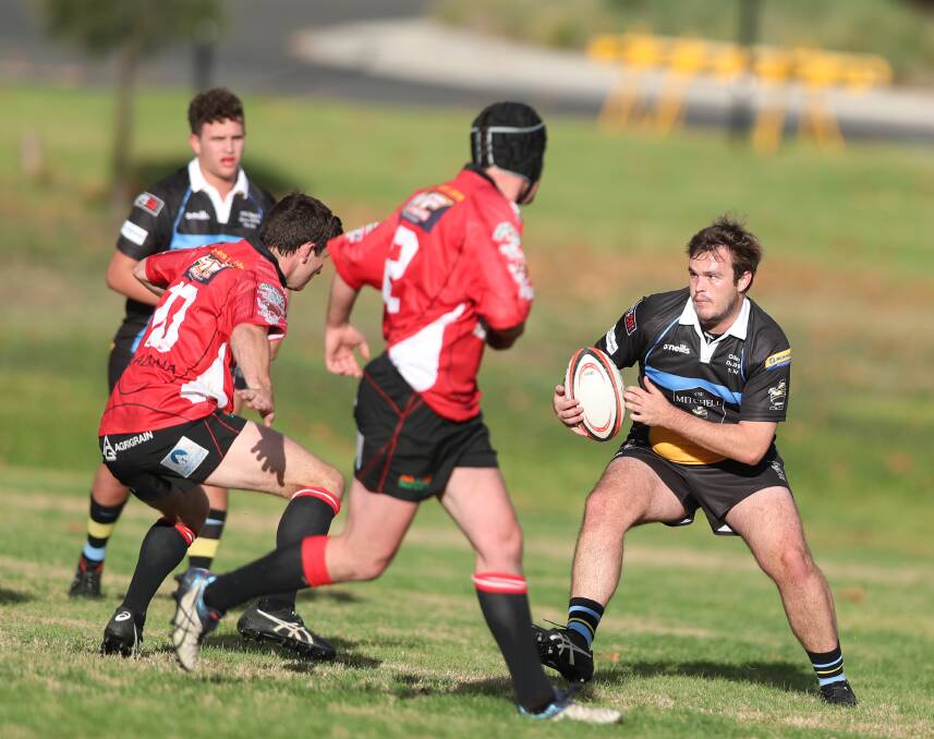ON THE HUNT: CSU's first XV will take on Narromine in this Saturday's New Holland Cup grand final qualifier. Photo: PHIL BLATCH