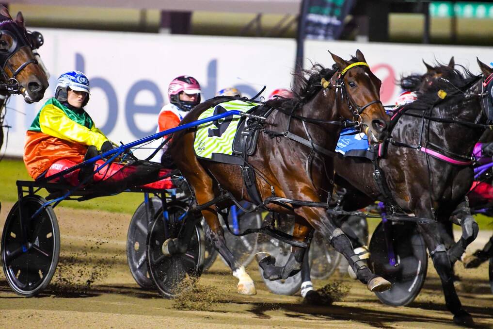 Olivia Frisby urges on Kingston Shannon down the home straight at Menangle. Picture by Racing at Club Menangle