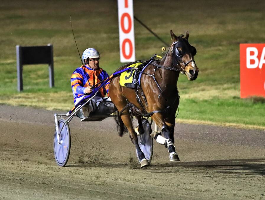 DOUBLE VISION: Blayney trainer-driver Wade Judd is hoping to make it back-to-back wins with Blaze Edition. Photo: COFFEE PHOTOGRAPHY AND FRAMING