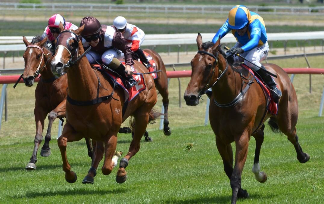 JUDGE RULES: Greg Ryan guides the Bjorn Baker trained Judge Judi to the lead at Tyers Park on Friday. Photo: ANYA WHITELAW