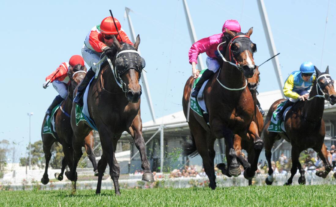 IMPRESSIVE: Dean Mirfin's I Am Capitan (right) placed second in a Highway Handicap to Handle The Truth (left) is his return to racing. Photo: AAP