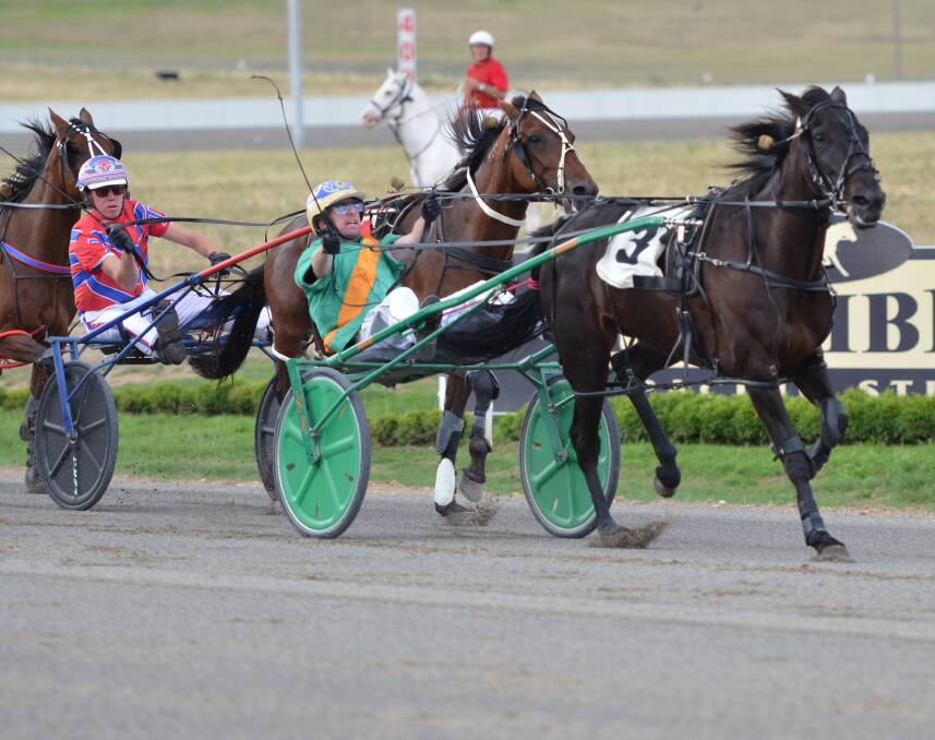 UPSET: Im All Courage looked headed for victory on Wednesday night until Shanocon flashed home late. Photo: ANYA WHITELAW