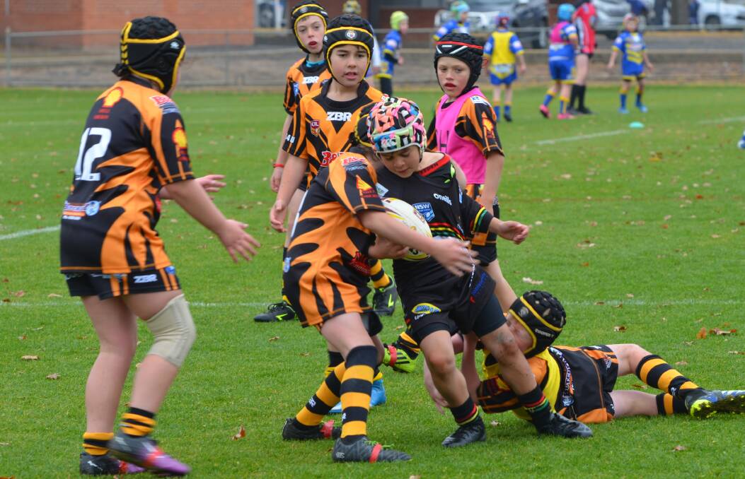 MIGHTY MINIS: Youngsters from Bathurst Panthers and Oberon will be amongst those in action at Saturday's mini carnival.