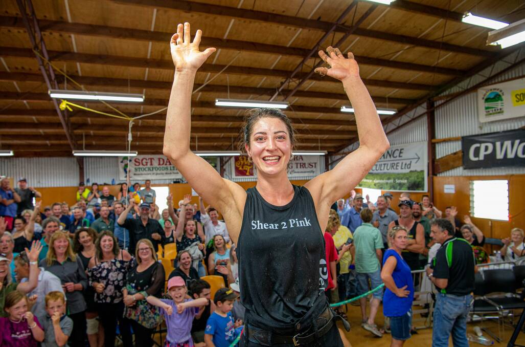 TOP EFFORT: The solo women's nine hour shearing world record holder Megan Whitehead of Gore, New Zealand. Photo: Natwick via Farmers Weekly, NZ 
