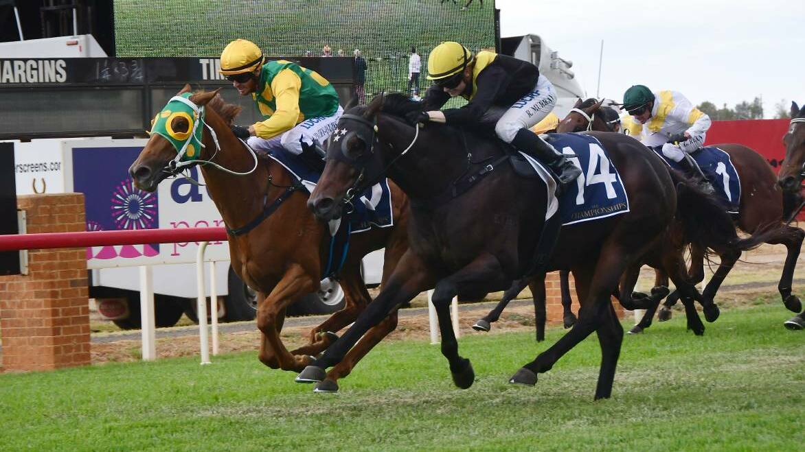 GOING AGAIN: Good Host (green and yellow), pictured winning the 2018 Country Championships qualifier at Dubbo, is targeting the race again in 2019. Photo: BELINDA SOOLE