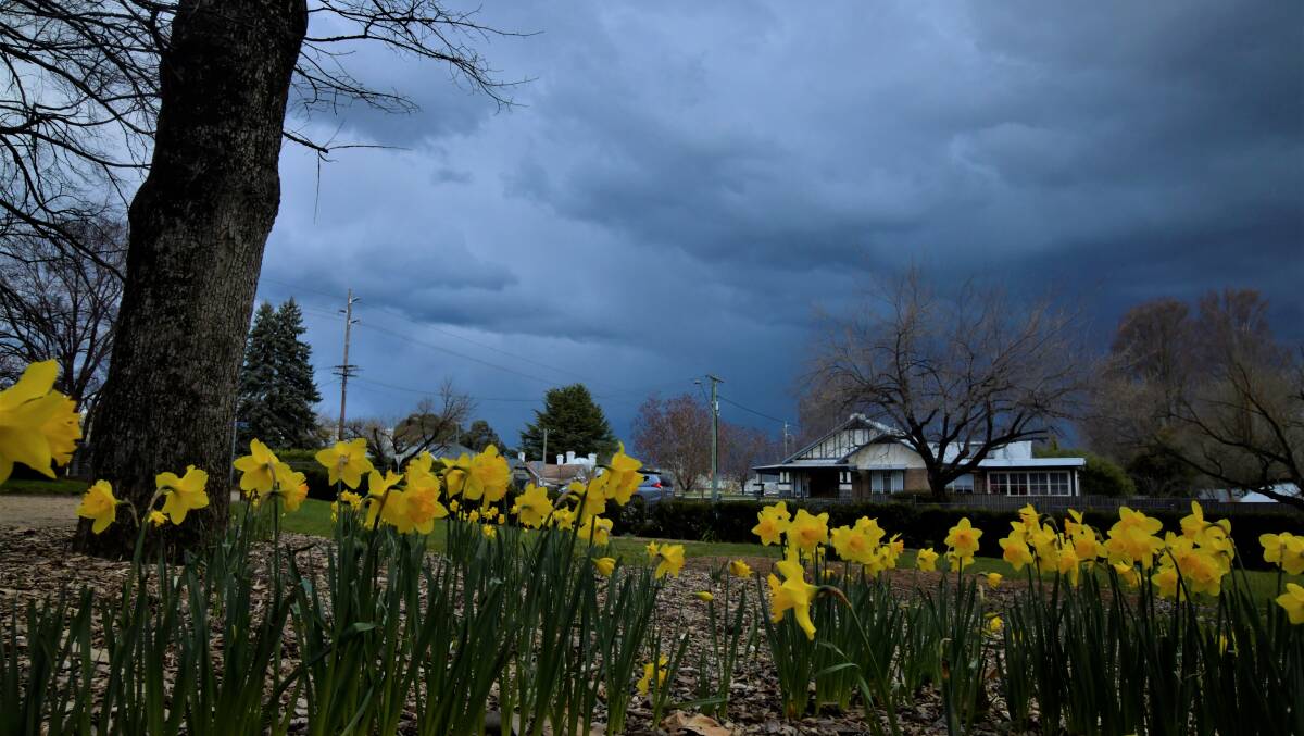 Storm clouds brew over Orange on Tuesday afternoon. Picture by Carla Freedman