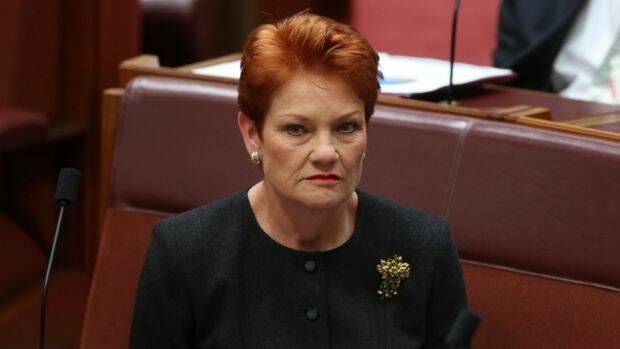 Students with disabilities are putting a strain on teachers and schools, Pauline Hanson has told Parliament. Photo: Andrew Meares