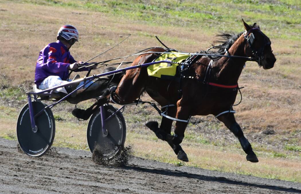 Bathurst pacer Promising clears out on the turn at Cowra on Sunday.