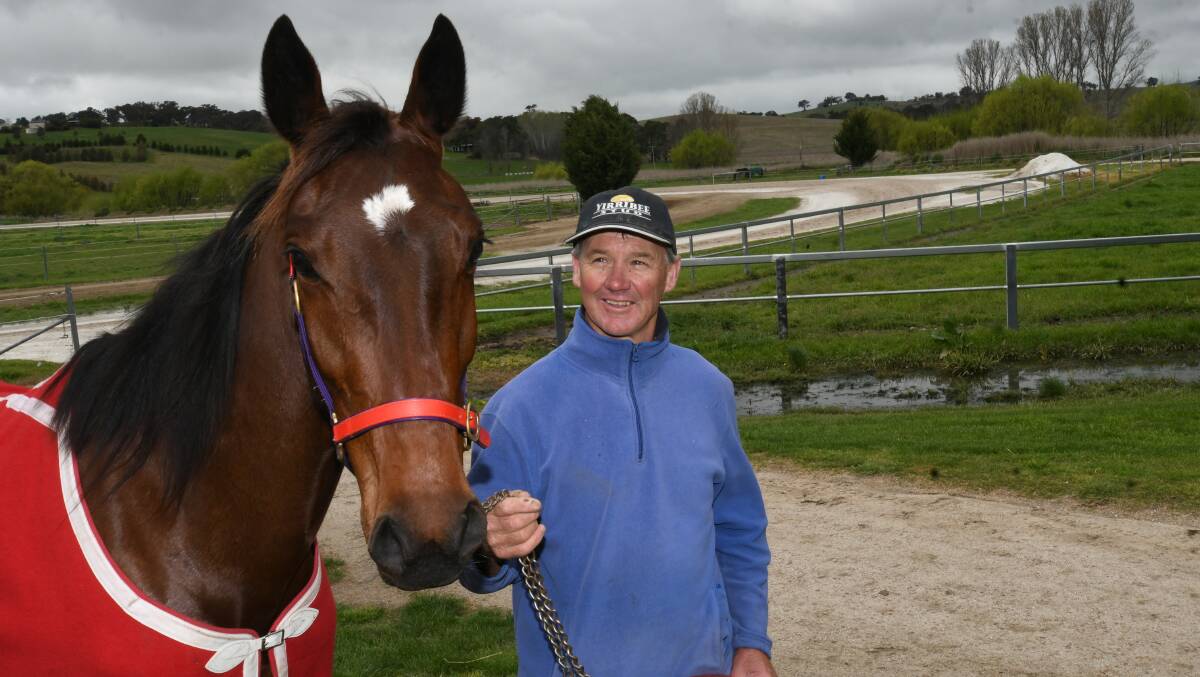 SPEEDY: Bernie Hewitt with another of his charges, filly Ballerini. Photo: CHRIS SEABROOK 