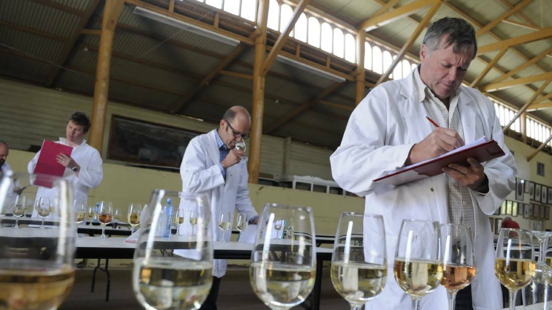 Our say | Cheers to a wine industry worth bottling