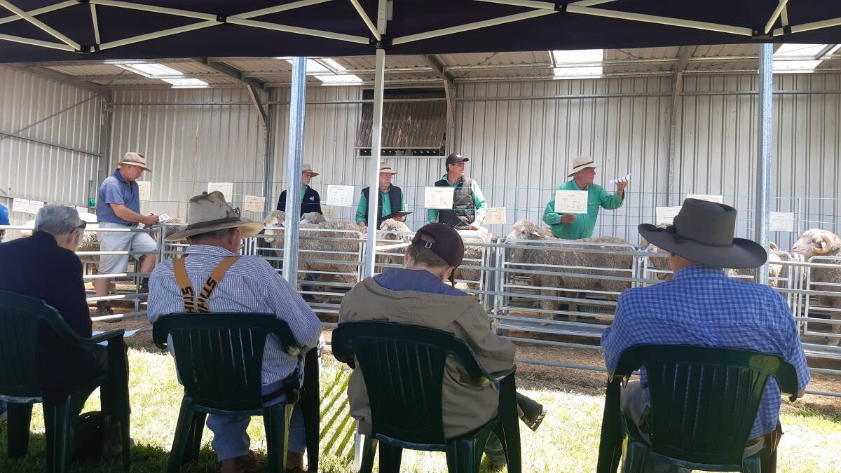 AUCTION: The Nutrien selling team in action at the successful Fosterfield sale last Sunday. Photo: SUPPLIED