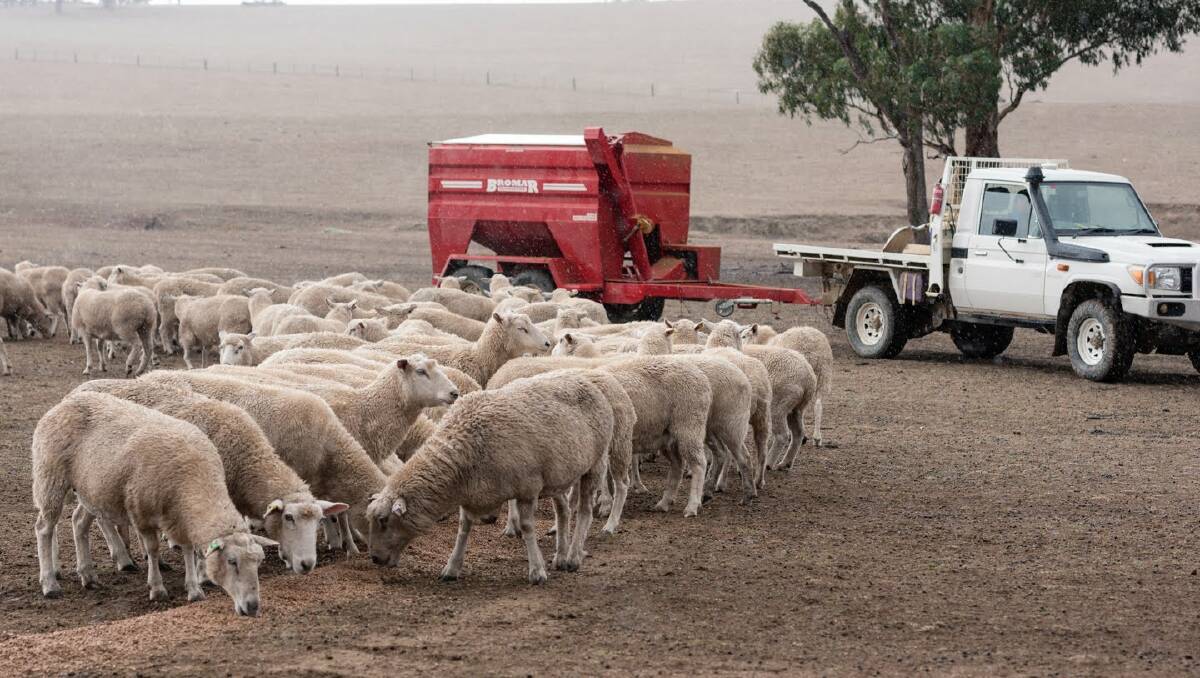 NUMBERS GAME: Landholders have until the end of August to lodge their annual land and stock returns. Photo: SUPPLIED