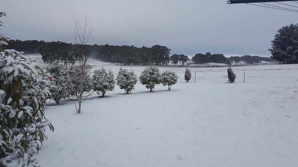 WHITEOUT: Snow in Oberon last year. Photo: LINDA GIBBONS