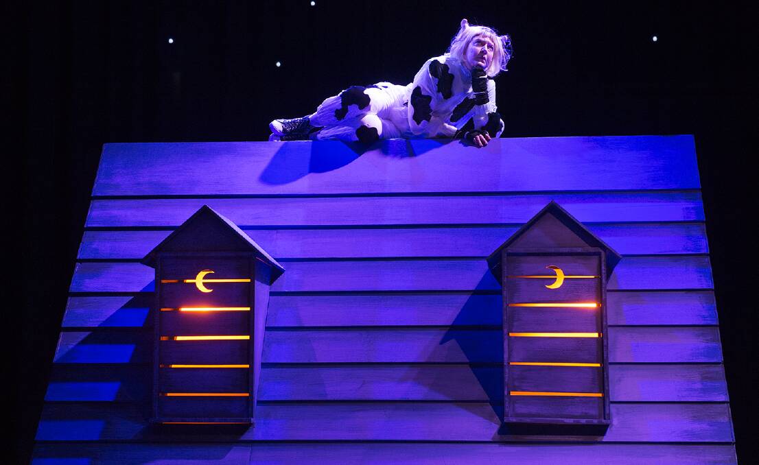 YO DIDDLE DIDDLE: An adaptation to the stage of Tony Wilson’s well known book The Cow Tripped Over the Moon. Photo: SUPPLIED