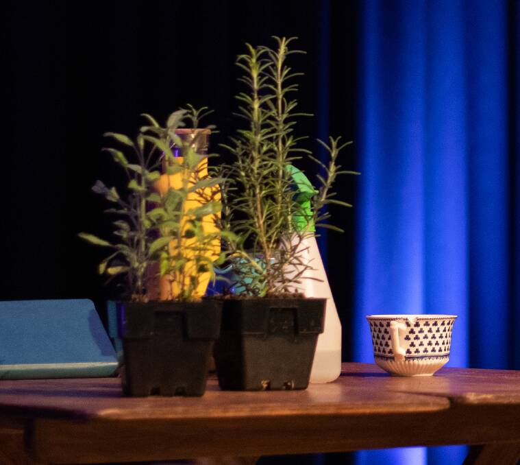 CO-STARS: Some of the plants on stage during Alice Blackwood's performance. Photo: BEN HARRIS