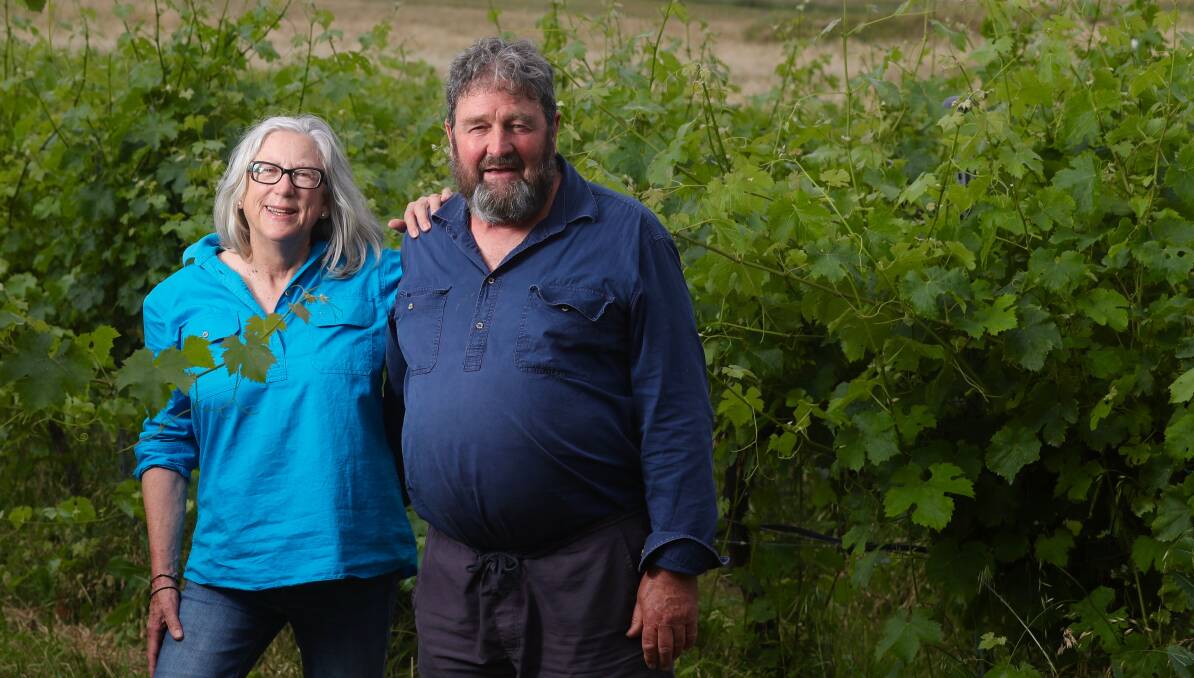 GRAPE EXPECTATIONS: Sarah Bishop and Andrew Macarthur among the vines at the Grass Parrot Vineyard, south of Bathurst. Photo: PHIL BLATCH