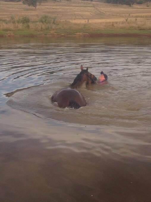 HORSING AROUND: Taking a pony for a swim in a farm dam can be a fun part of country life. Photo: SUPPLIED