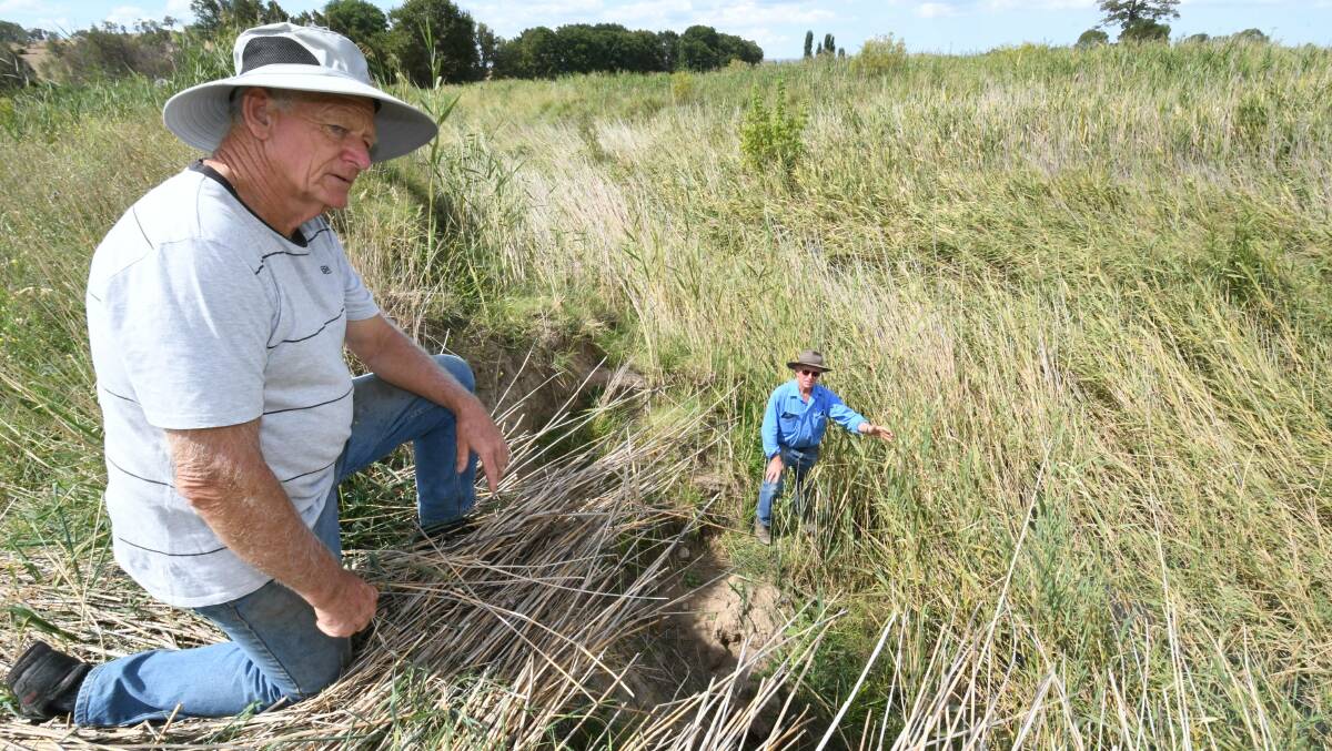 OVERGROWN: Landowners Jim Sealey with Bill Lawson near a stretch of damaged embankment long the Vale Creek adjoining Bill's land. Photo: CHRIS SEABROOK 030419cpville3