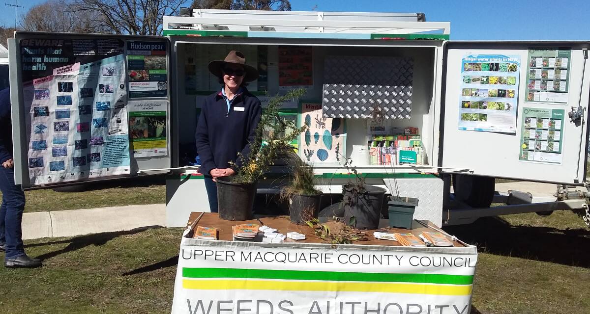 ALL ON SHOW: Jill O’Grady manned the Upper Macquarie County Council stand at the recent Burraga Sheep Show.