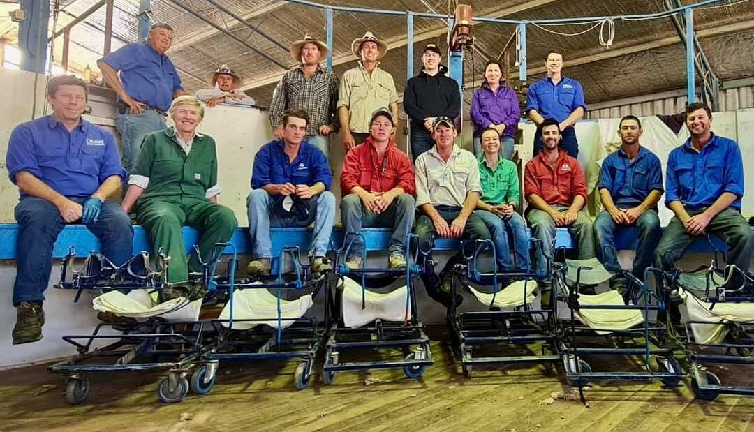 EWE RIPPER: The team who artificially inseminated 900 young merino ewes to a cross section of stud sires on a Newbridge property last week.