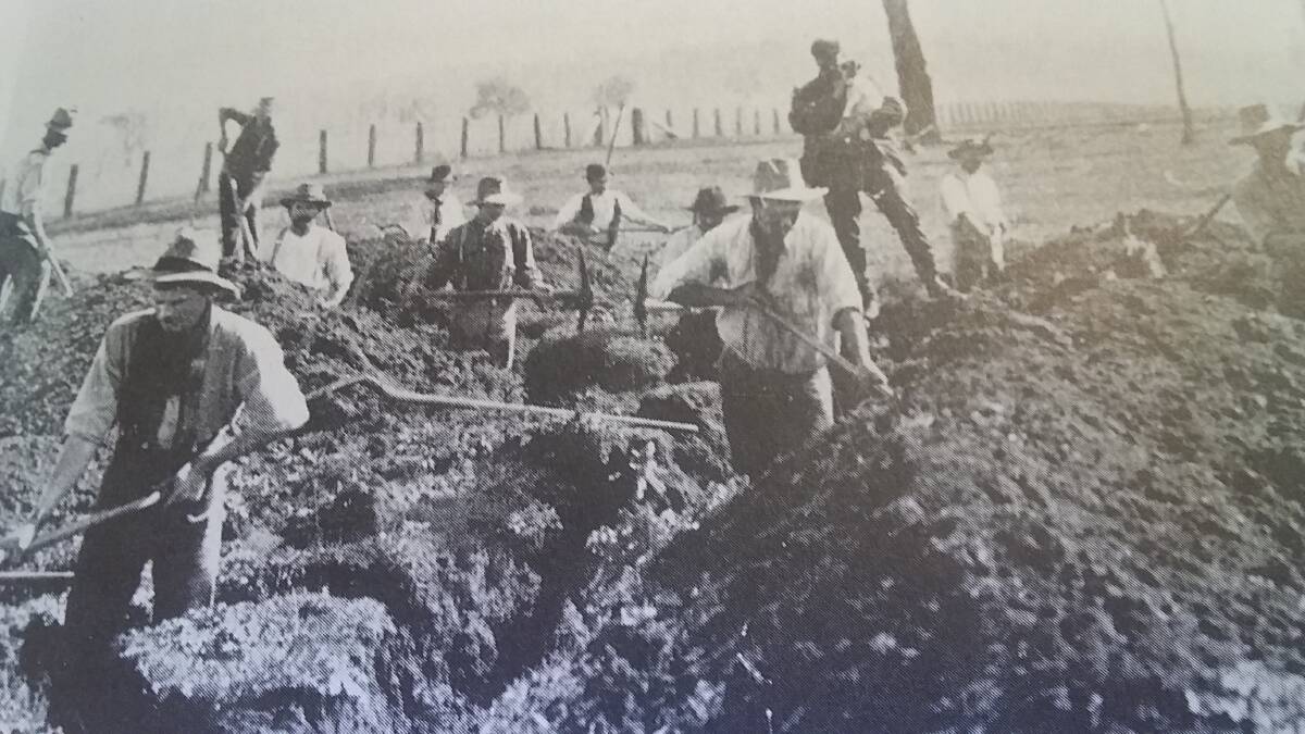 PLAGUE PROPORTIONS: The sight of a work crew digging rabbit warrens was quite common in the 1950s.
