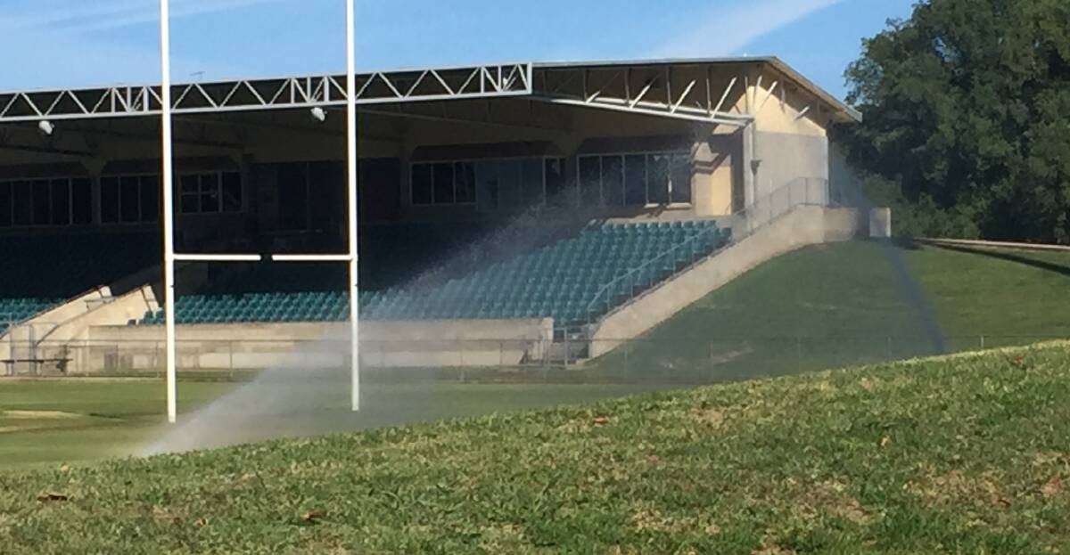 WATER TORTURE: The sprinklers were on at Carrington Park earlier this week.