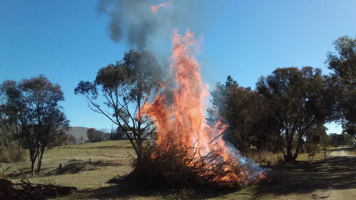 FIRE AWAY: This weekend bonfire nearly ran away in dry grass.  Please be careful of burn-offs.