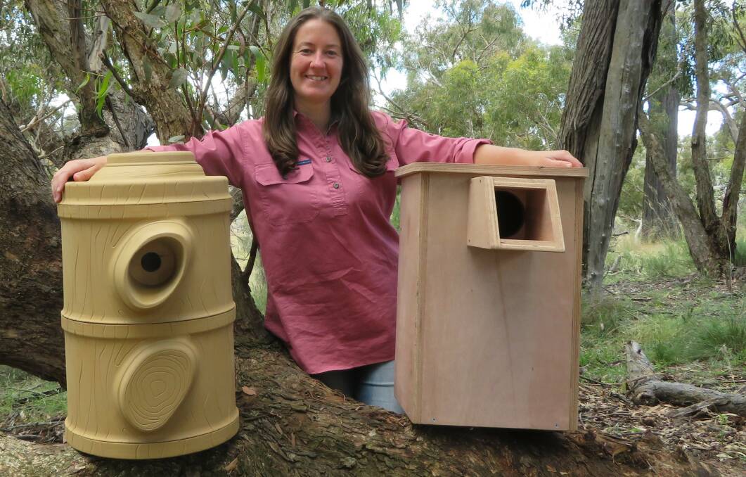 OUT OF THE BOX: Megan Moppett's Honours project will be compare different nest boxes used to supplement natural tree hollows. Photo: SUPPLIED