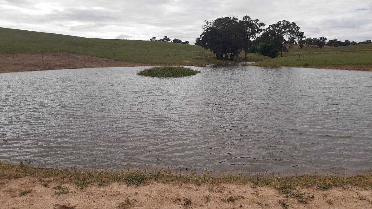THE BIG WET: This newly built water storage was completed in September 2021 and spilled over its overflow on November 28. Photo: SUPPLIED