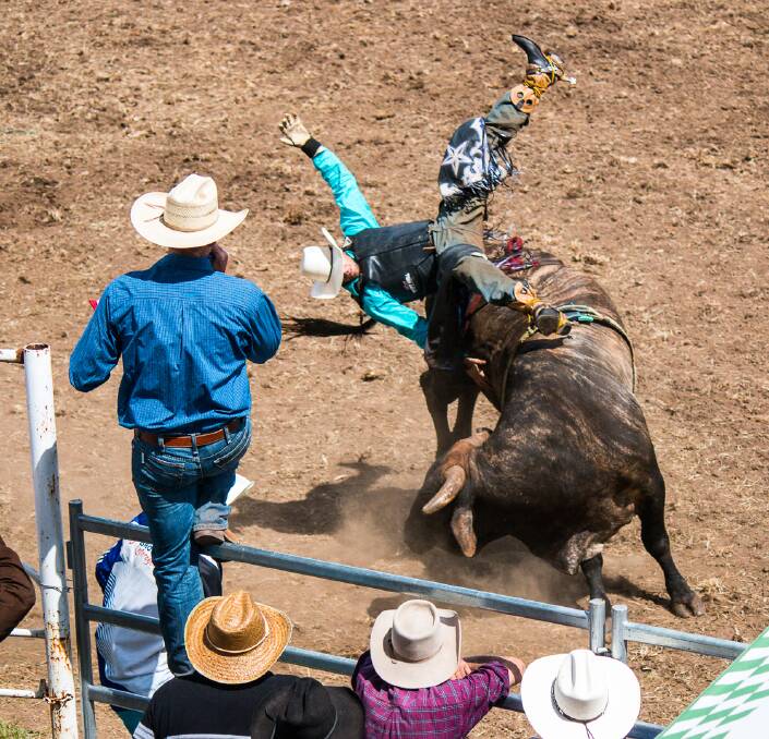 LOOK OUT: Don't be fooled, though bull riding is an exciting spectator sport, it is a very dangerous pursuit for the riders.