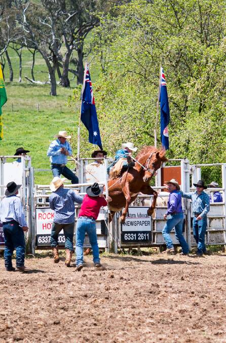 HOLD TIGHT: Riders will do battle with bucking broncos and raging bulls at this year's Bowyer and Livermore Rockley Rodeo. It's a unique event which will interest all in the family. Photos: Michael Mainwaring.