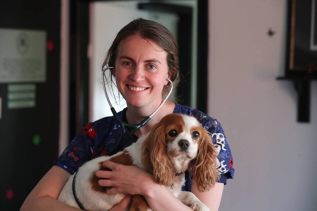 CARE AND COMPASSION: Veterinarian Zoe Blank, with Rosie, is part of the Durham Street Veterinary Clinic team. Photo: Phil Blatch
