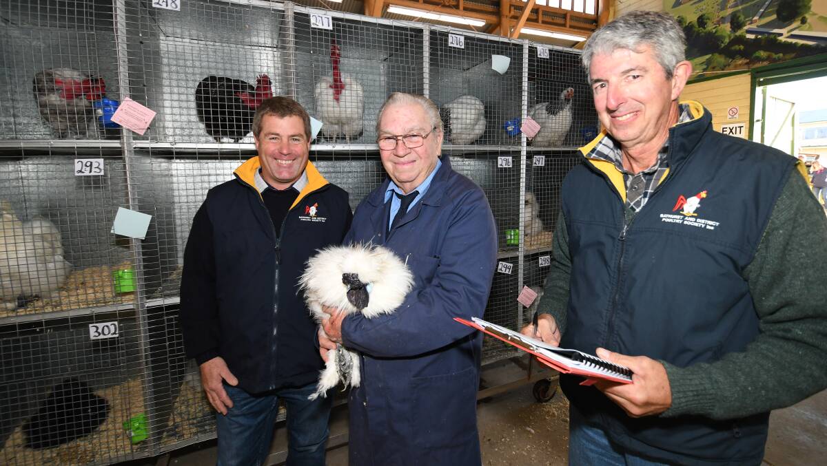 POULTRY SHOW: President Michael Lane, judge Barry Weatherstone with a Chinese Silky and Tony Hellyer. Photo:CHRIS SEABROOK.