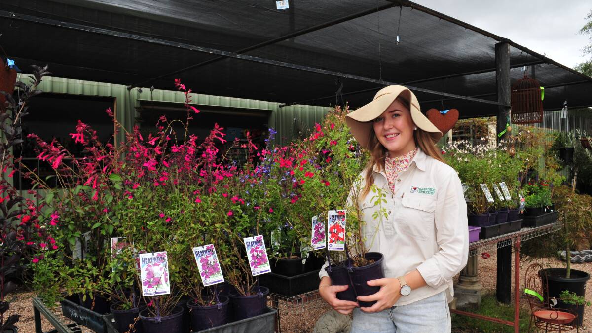 YOU CAN STILL HAVE A GARDEN: Leah Taylor, from Riverside Nursery says there are many ways to maintain a garden despite strict water restrictions.