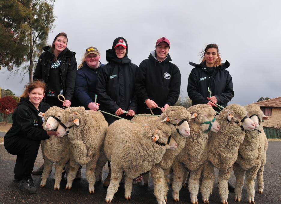 OFF TO DUBBO: Lauren Hook, Grace Priestley, Sam McLeay, Daniel Luther, Harrison Cutler and Latisa Cosentino, with their merino sheep.