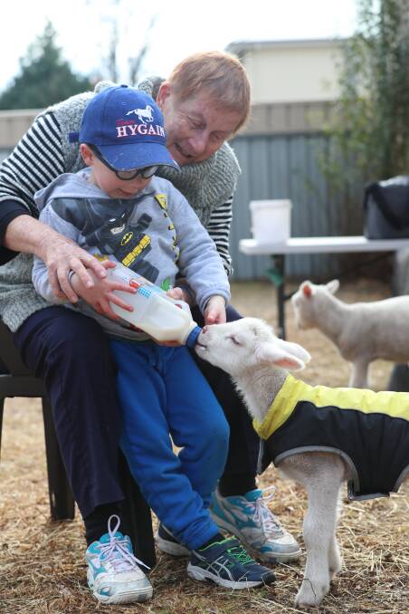 FOSTERING LAMBS: Christine and Kye Lonard feeding one-week-old lamb Bear. On Saturday, kids can help hand feed Bear at Bedwell's Feed Barn.