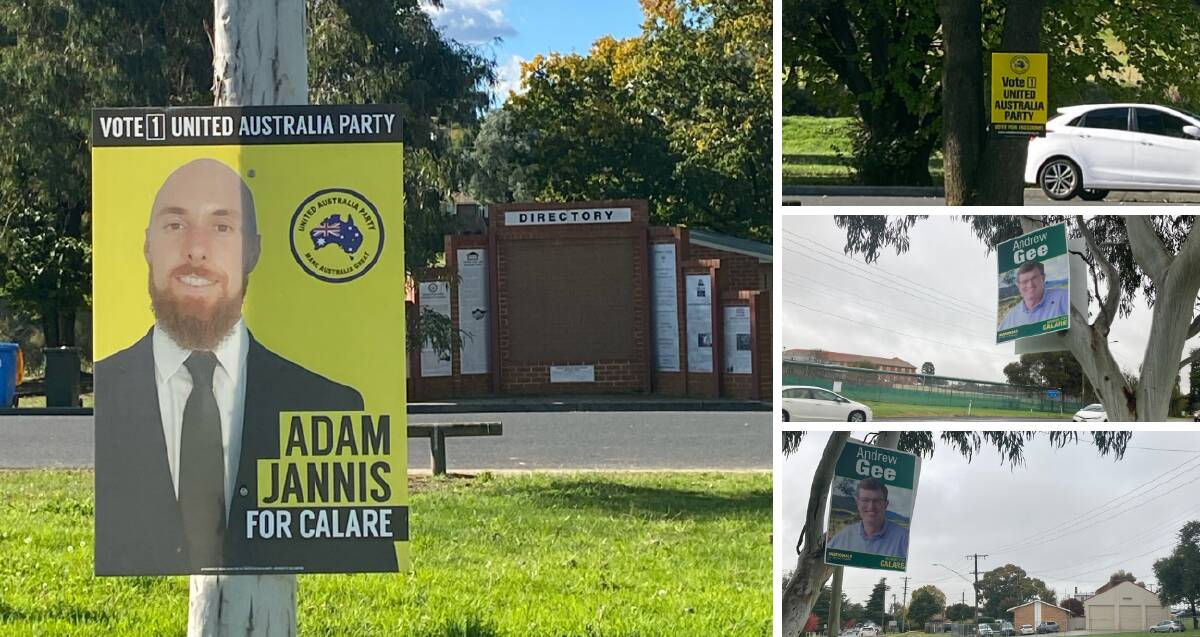 REMOVE THEM: Bathurst Regional Council has written to candidates in the upcoming federal election to remove their political signs from trees.