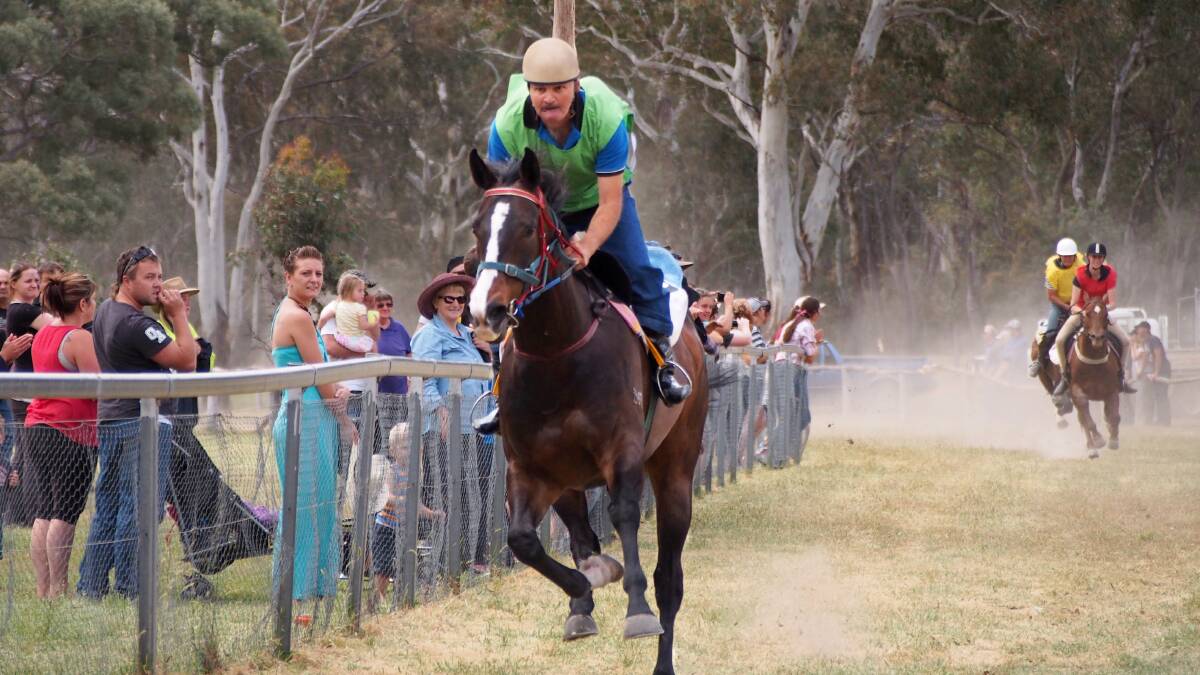 BRONZE THONG: Live horse racing will be replaced by hobby horse racing at this year's Bronze Thong, due to insurance costs.