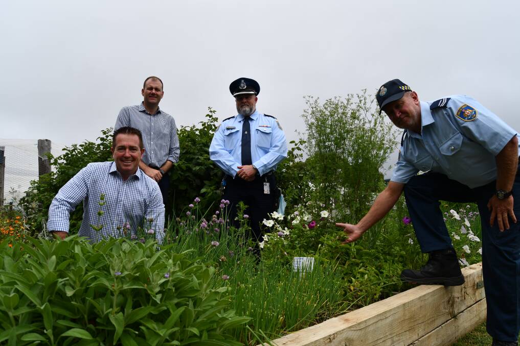 GROWING SKILLS, HEALTH AND PRODUCE: Paul Toole, Sam Farraway, Dale Ashcroft and Michael Copeland (both Kirkconnell Correctional Centre) in the garden.